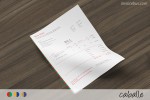 Plantilla de factura de servicios - Caballe
